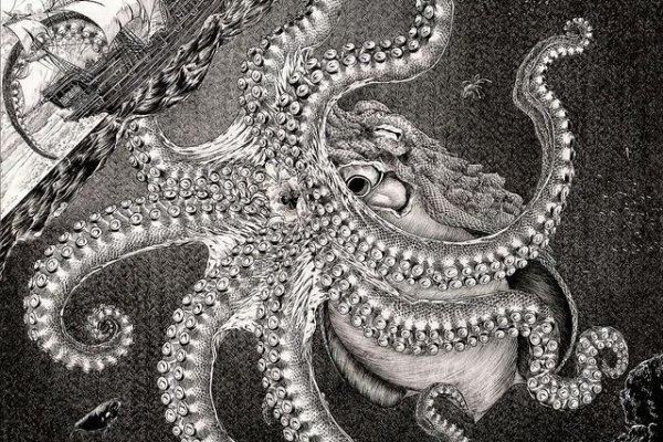 Kraken это: инструкция