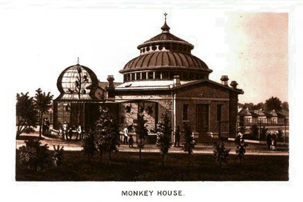 Krab6.cc для начинающих