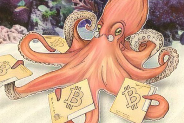 Надежный доступ к магазины котиков